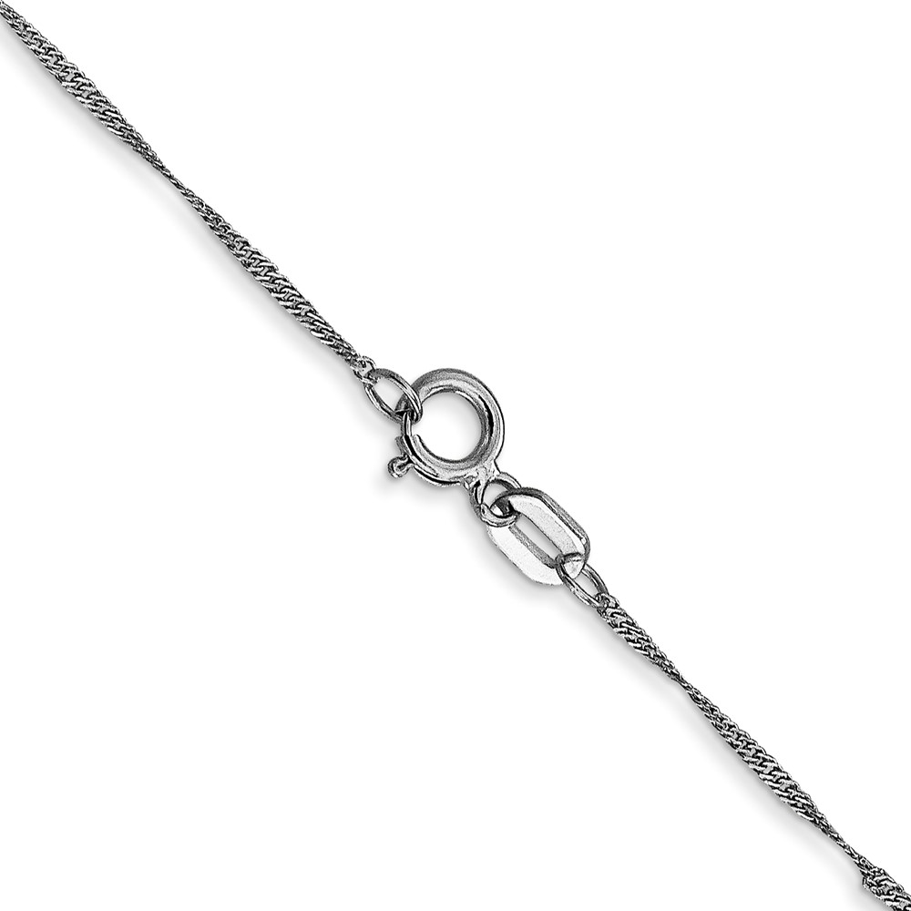 14K White Gold 22 inch 1mm Singapore with Spring Ring Clasp Chain - 2