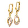 14K Tri-Color Polished Dangle Leverback Earrings - 1