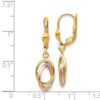 14K Tri-Color Polished Dangle Leverback Earrings - 3