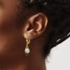 14K Two-tone Polished Diamond-cut Dangle Leverback Earrings - 2